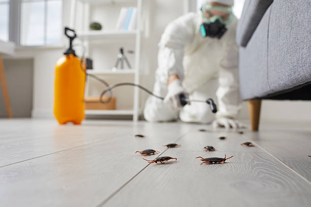 Commercial Rodent Management in Cresson